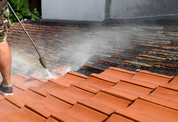 Best Pressure Washing Company Near Me  in Winter Garden, FL