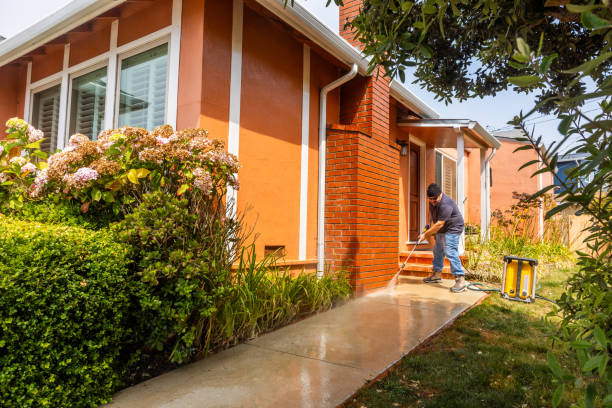 Best Pressure Washing Near Me  in Winter Garden, FL