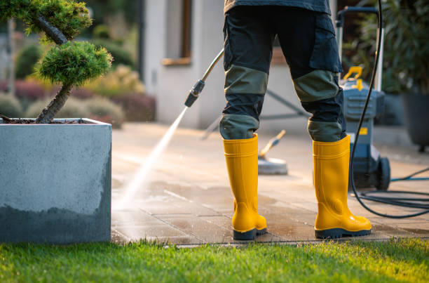 Best Affordable Power Washing  in Winter Garden, FL